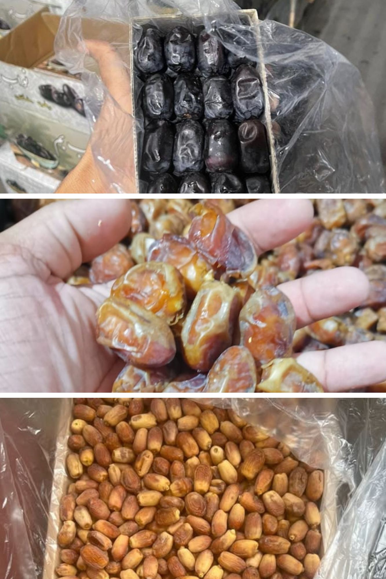 Durfishan Date Started it Import/Export Journey in 2019